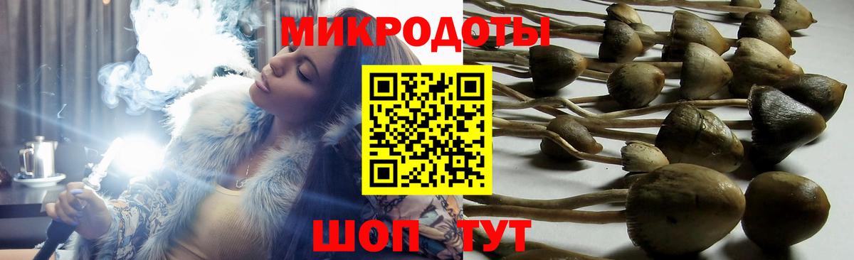 Галлюциногенные грибы мицелий  Вход с VPN  Воронеж 